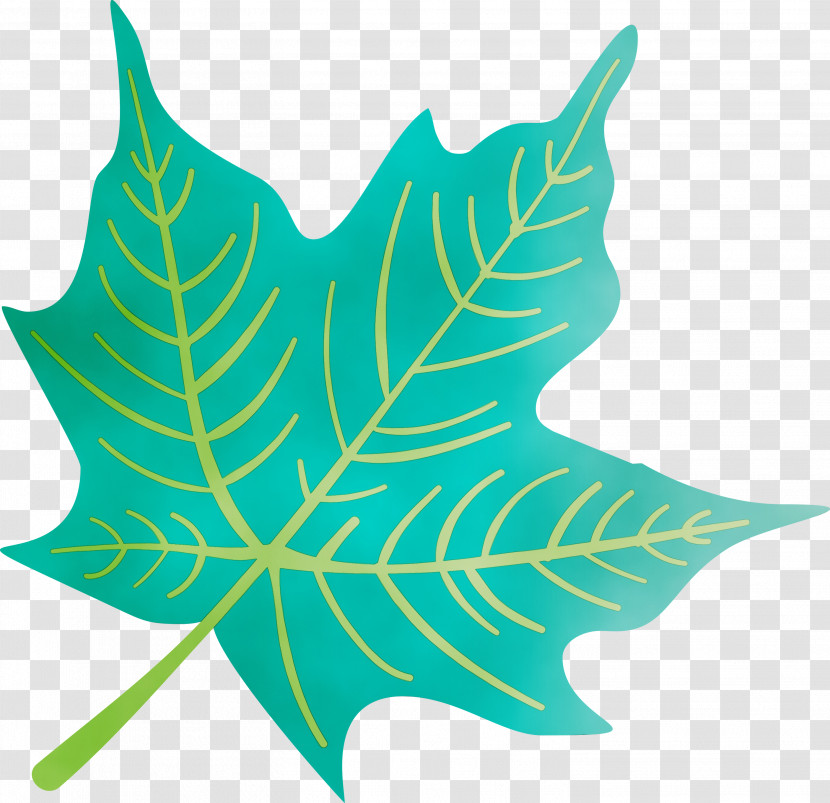 Leaf Symmetry M-tree Tree Science Transparent PNG