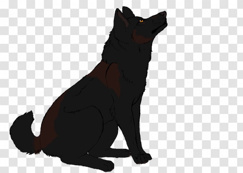 Schipperke Black Cat Puppy Dog Breed - Small To Medium Sized Cats - Filth Transparent PNG