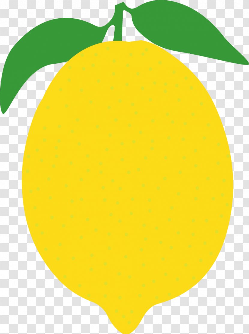 Citrus Line Clip Art - Yellow Transparent PNG