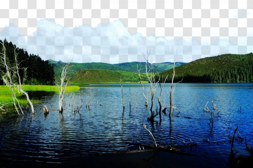 Potatso National Park Lake District U067eu0627u0631u06a9 U062cu0646u06afu0644u06cc Loch - Reflection - Beautiful Pudacuo Forest Transparent PNG