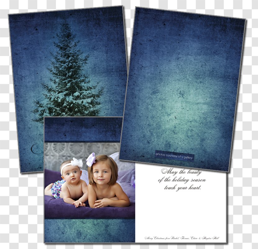 Picture Frames - Photography Card Transparent PNG