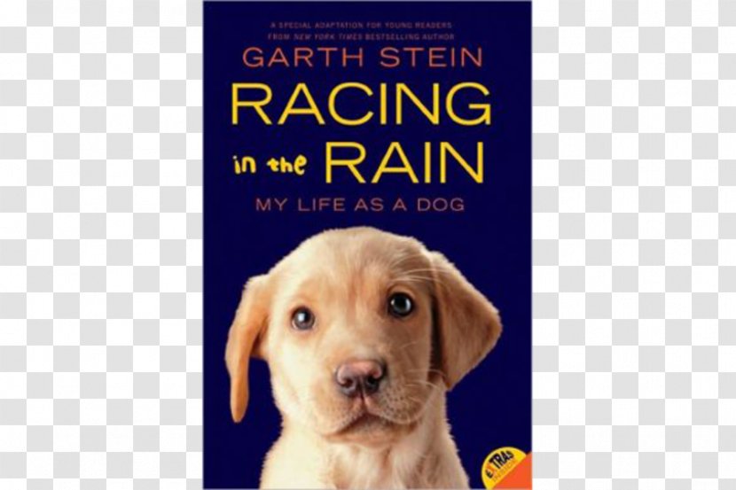 The Art Of Racing In Rain Rain: My Life As A Dog Enzo Races Rain! And Christmas Tree Hunt! Sudden Light - Book Transparent PNG