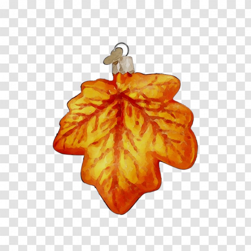 Christmas Ornament Fruit Orange S.A. Transparent PNG