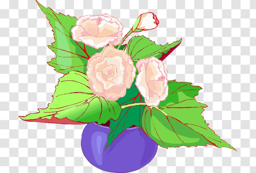Garden Roses Cabbage Rose Floral Design Cut Flowers Flower Bouquet Transparent PNG