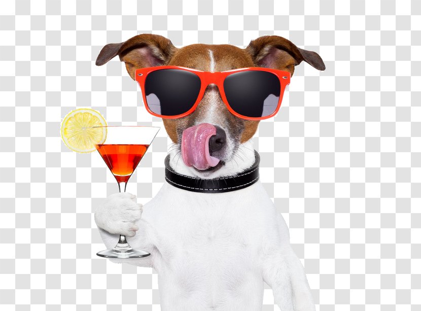 Sun Drink Red Wine Dog - Cocktail - Tableware Transparent PNG