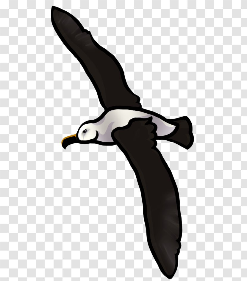 Flightless Bird Beak Wing Clip Art - Finger - Albatross Transparent PNG