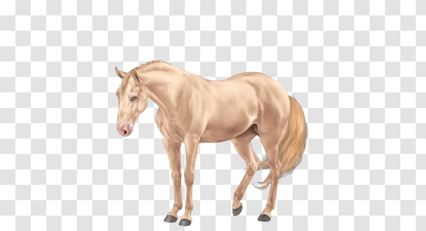 American Quarter Horse Mane Mustang Thoroughbred Stallion - Neck Transparent PNG