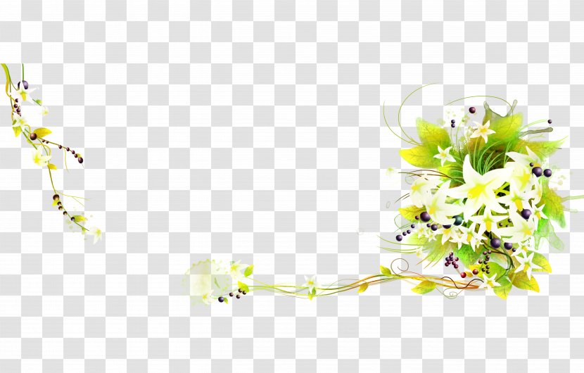 Lilium Flower - Petal - Elegant Lily Transparent PNG
