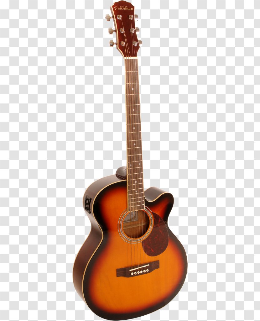 Acoustic Guitar Acoustic-electric Tiple Cuatro - Tree - Band Transparent PNG