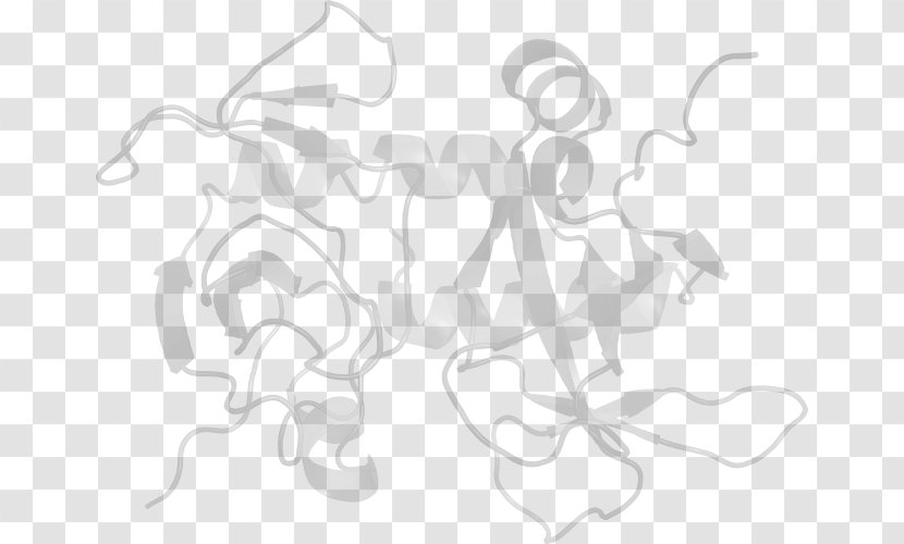 Drawing White Line Art Clip - Monochrome Transparent PNG
