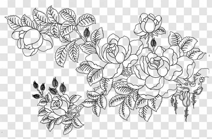 Rosa Multiflora Drawing Flower Sketch - Flowering Plant Transparent PNG