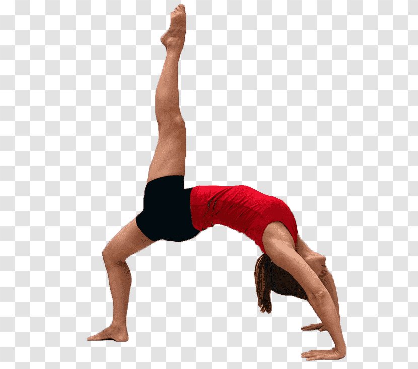 Yoga Pilates Bridge Exercise Core Stability - Flower Transparent PNG