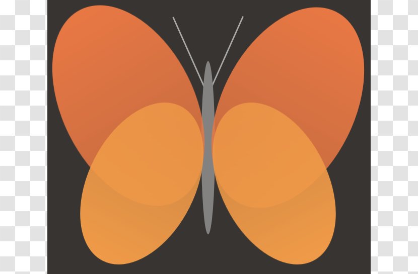 Butterfly Clip Art - Arthropod - Orange Design Transparent PNG