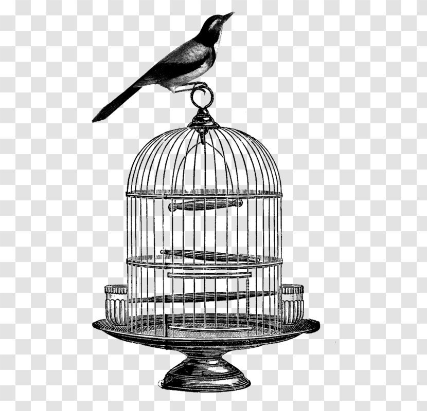 Birdcage Clip Art - Monochrome Photography - Bird Transparent PNG