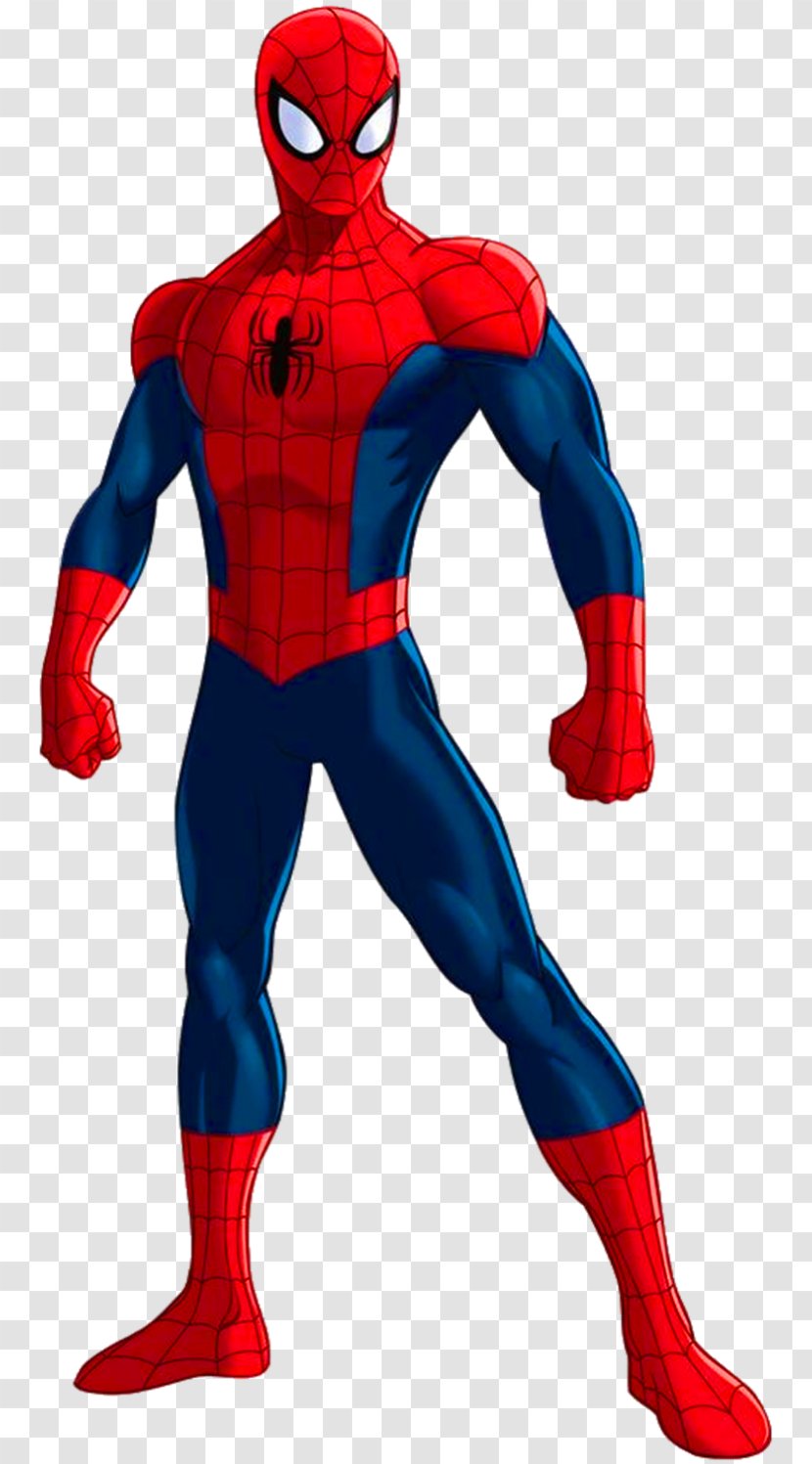 Ultimate Spider-Man Hulk Standee Poster - Spider Transparent PNG