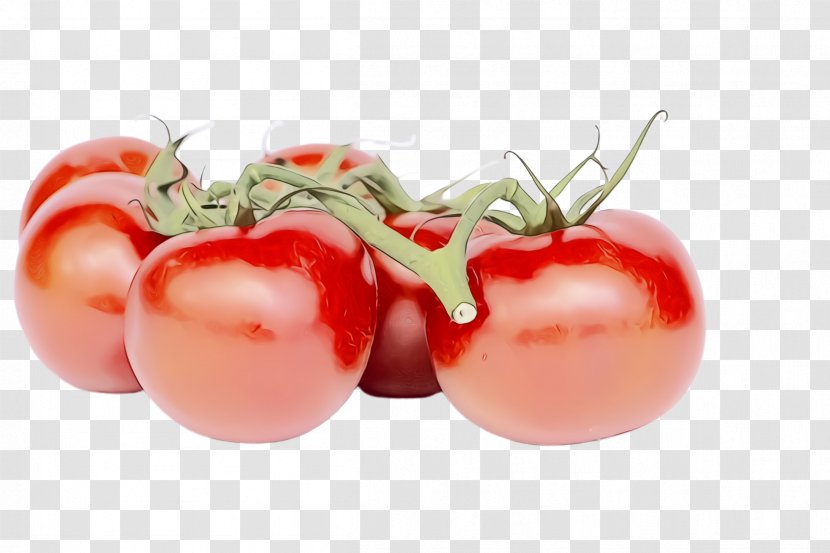 Tomato - Vegetable - Cherry Tomatoes Plant Transparent PNG
