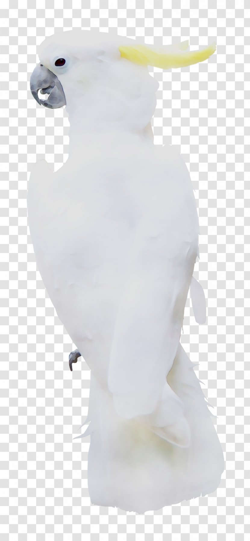 Beak Neck Figurine Feather - White Transparent PNG