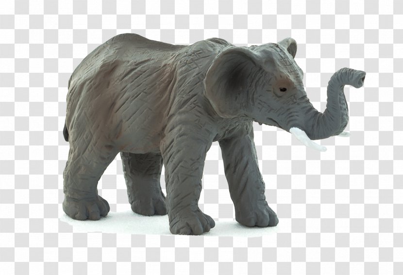 Asian Elephant Animal Planet Baby Transparent PNG