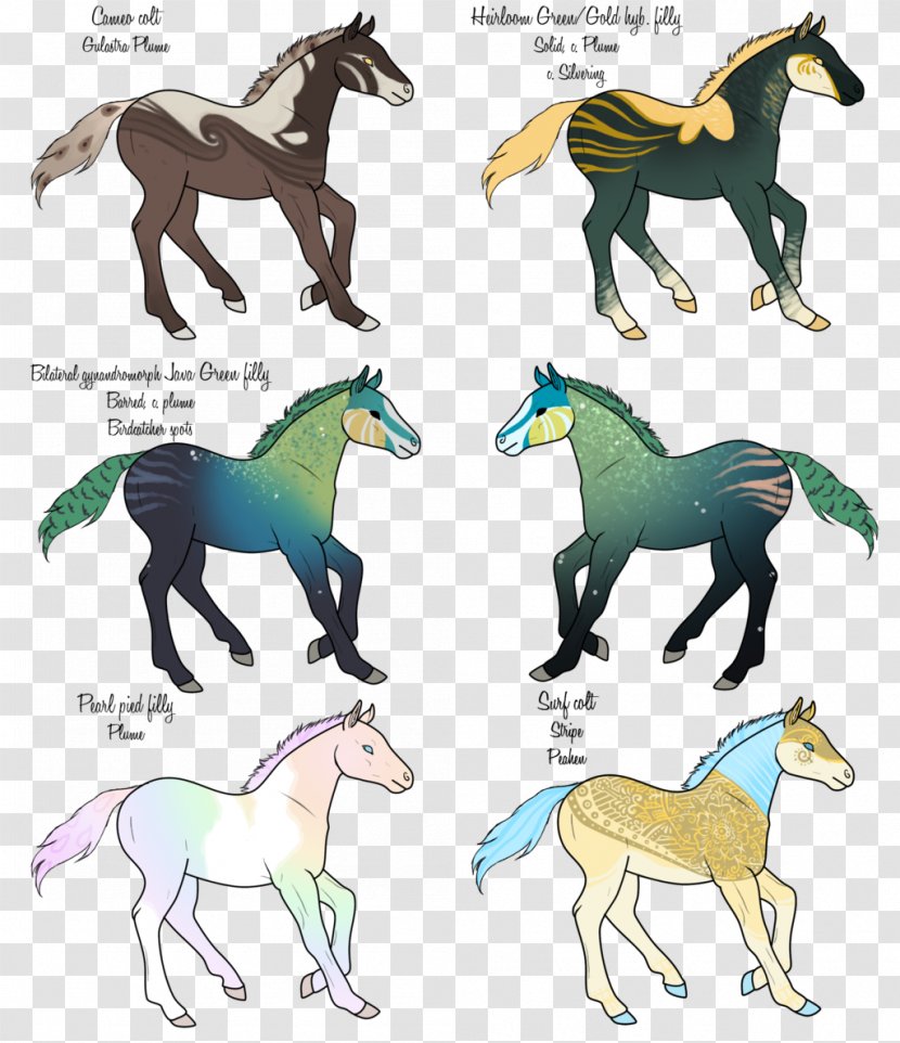 Mustang Stallion Pack Animal Horse Tack Illustration - Flower - Drawings Of Sunken Treasure Transparent PNG
