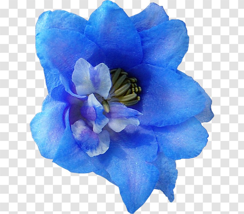 Blue Flower Drawing Clip Art - Collage Transparent PNG
