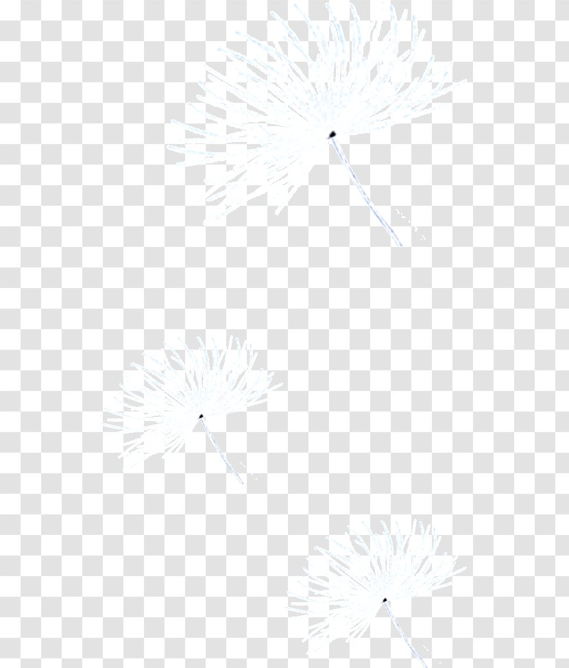 White Black Angle Pattern - Triangle - Dandelion Fly Transparent PNG