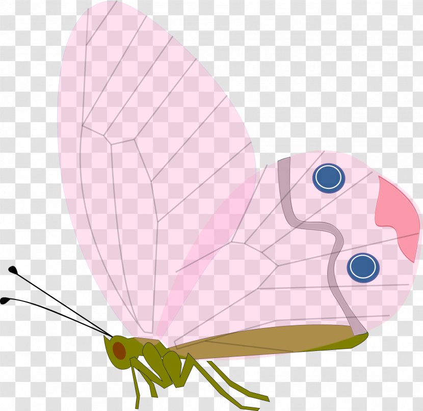 Butterfly Drawing Clip Art - Royaltyfree - Bug Transparent PNG