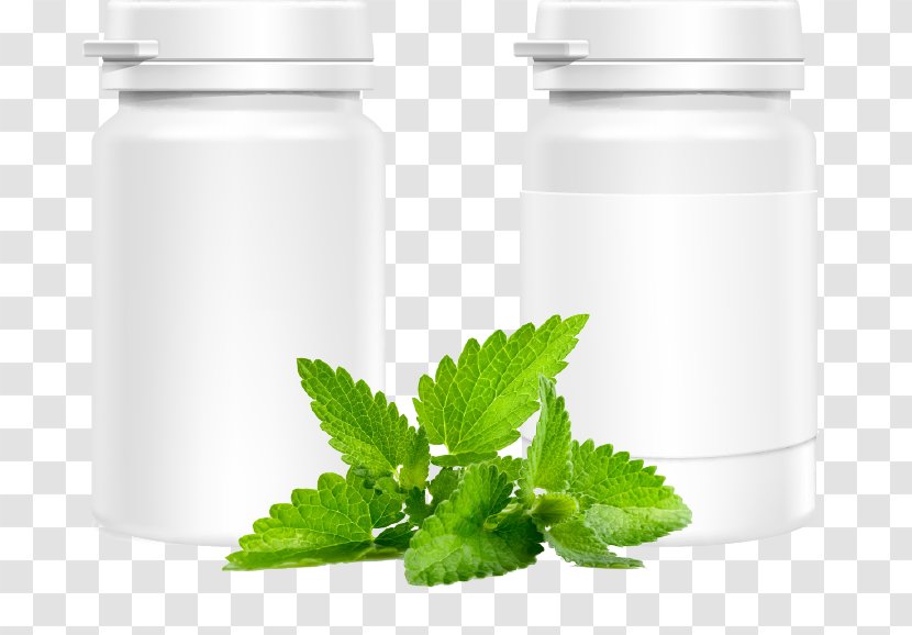 Mint Flavor Herb Food Extract - Medicinal Plants - Bottles Of Medicine Bottle Leaves Transparent PNG