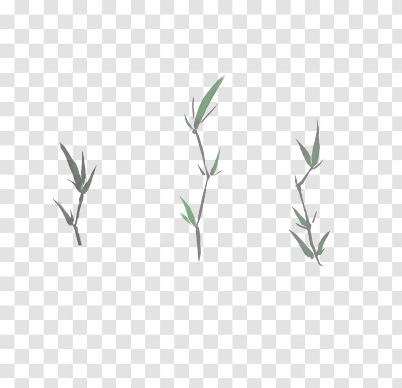 Green Leaf Angle Pattern - Grass Transparent PNG