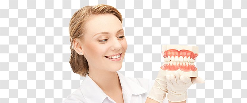 Dentistry Physician Clinic Medicine - Tooth - Dentist Transparent PNG