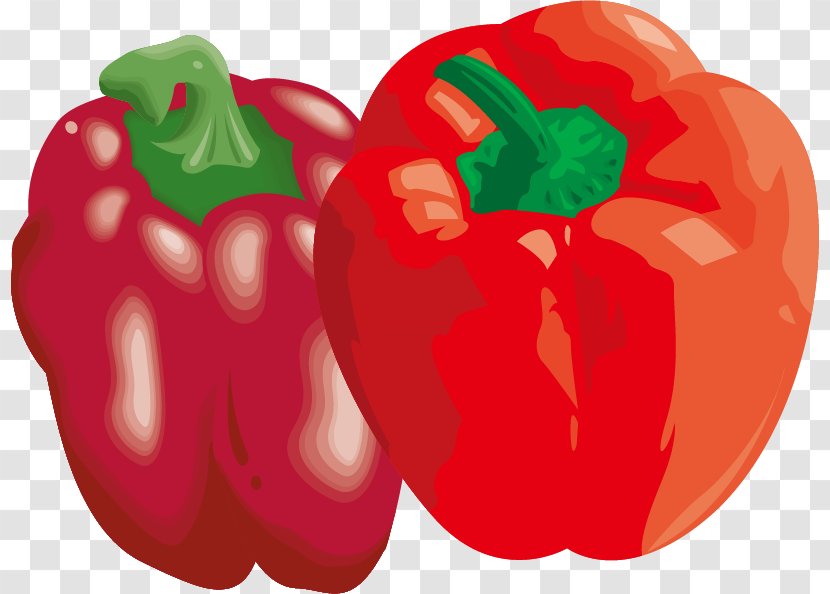 Bell Pepper Chili Vegetable - Tree - Vector Material Transparent PNG