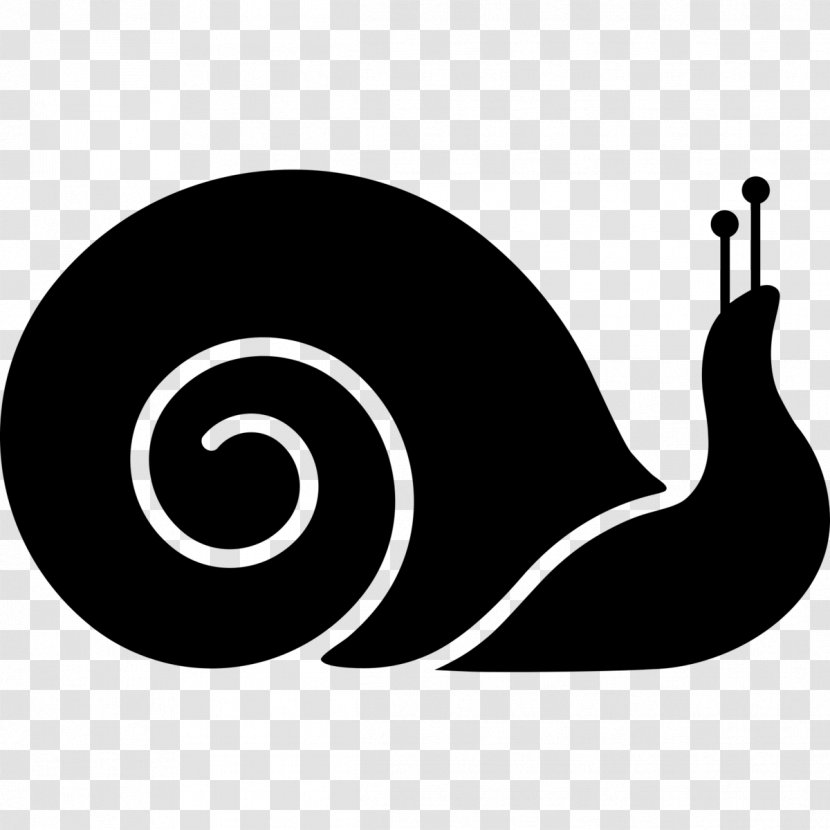 Snail Clip Art - Monochrome - Snails Transparent PNG