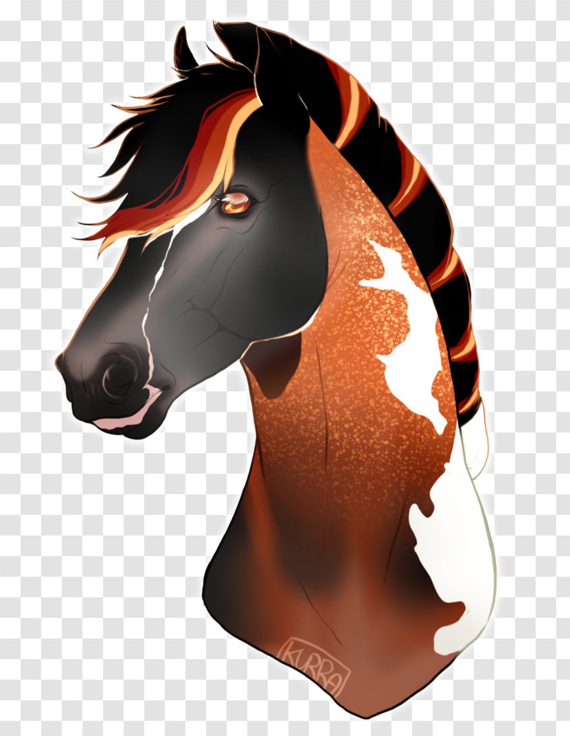 Mustang Halter Snout Stallion Pony - Horse Transparent PNG