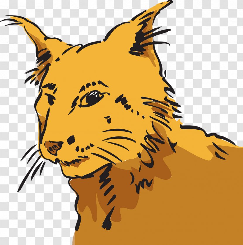 Whiskers Kitten Wildcat Tiger Lion - Wild Cat Transparent PNG