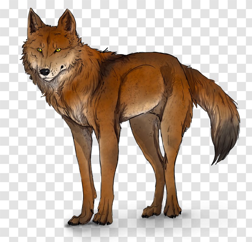 Red Fox WolfQuest Dhole Coyote - Mammal - Wolf Transparent PNG