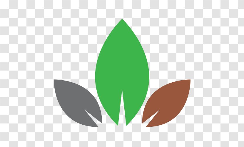 Alan Browne Landscaping Since 1978 Leaf Ornamental Plant Garden - Logo - Silverwood Limited Transparent PNG