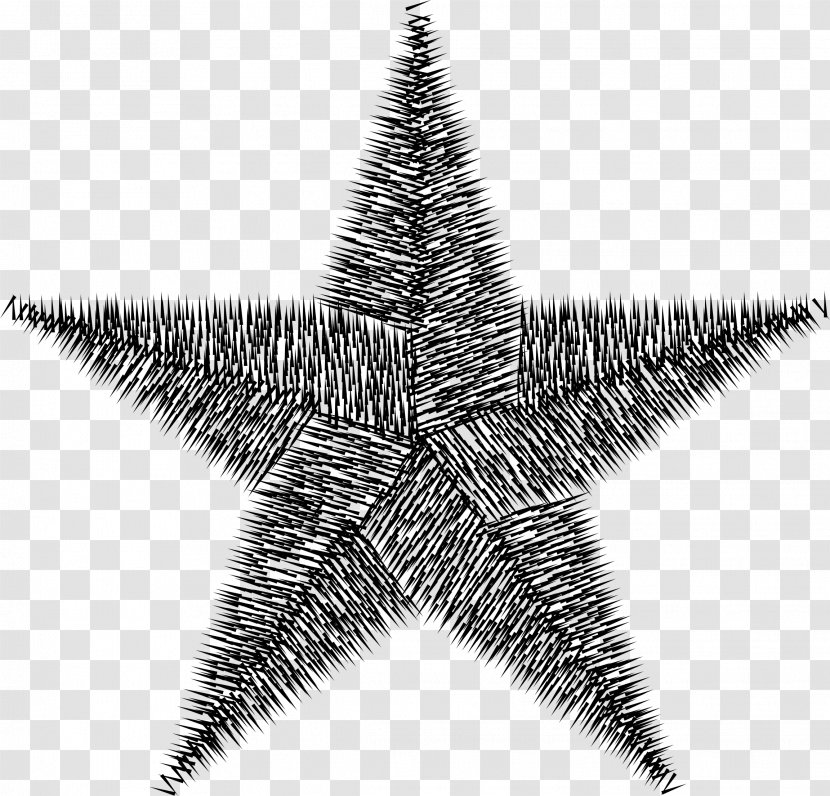 Drawing Award Image Sketch Graphics - Star - Painting Transparent PNG