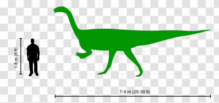 Plateosaurus Velociraptor Tyrannosaurus Ceratosaurus Dinosaur Transparent PNG