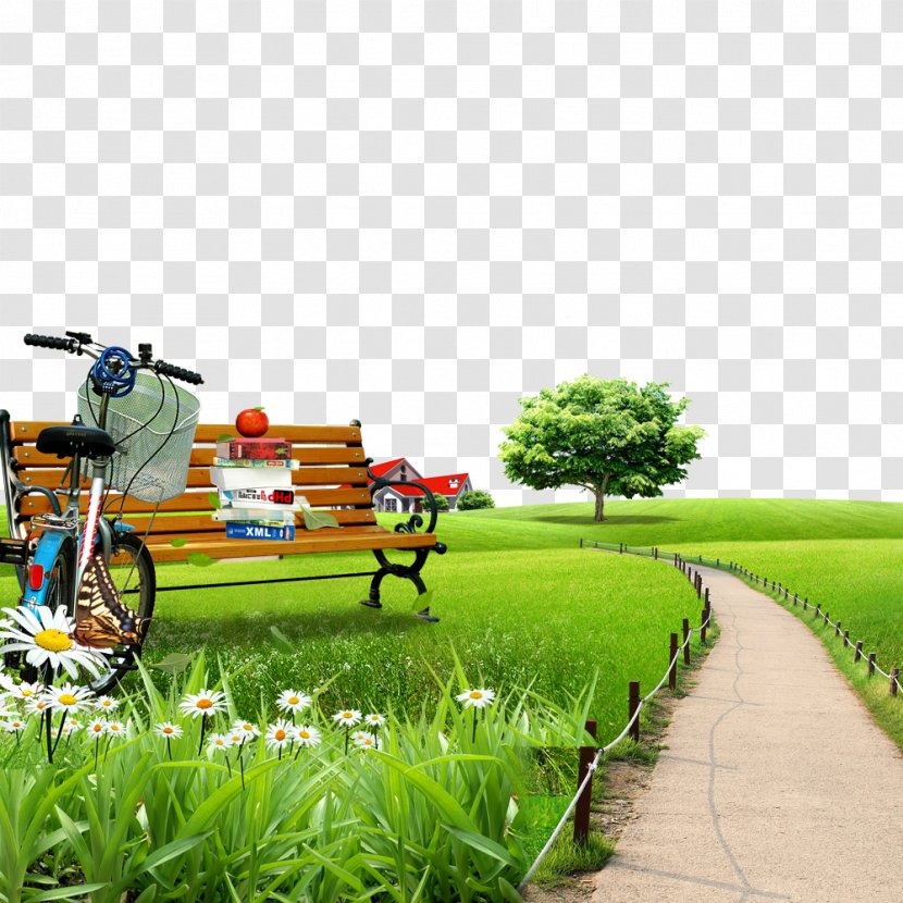 Lithium-ion Battery - Grass Family - Free Lawn Chairs To Pull Material Transparent PNG