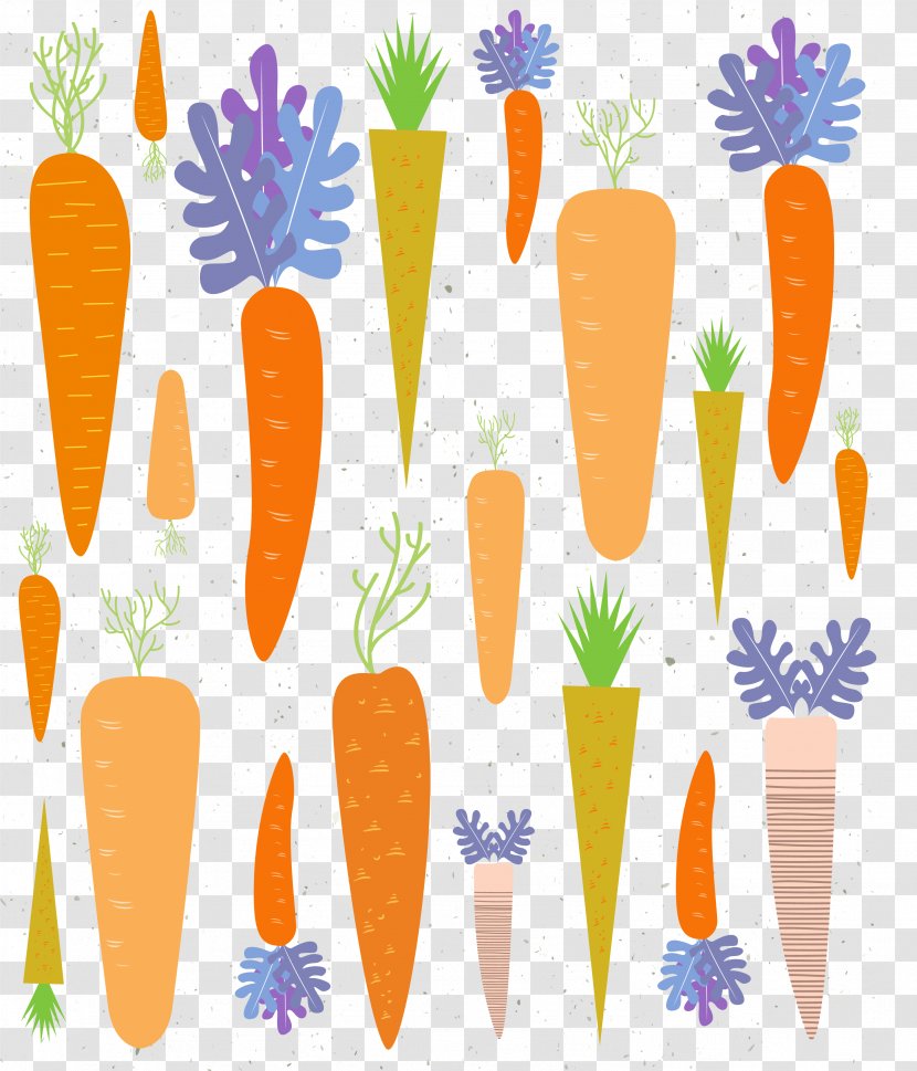 Cartoon Carrot Illustration - Organism Transparent PNG