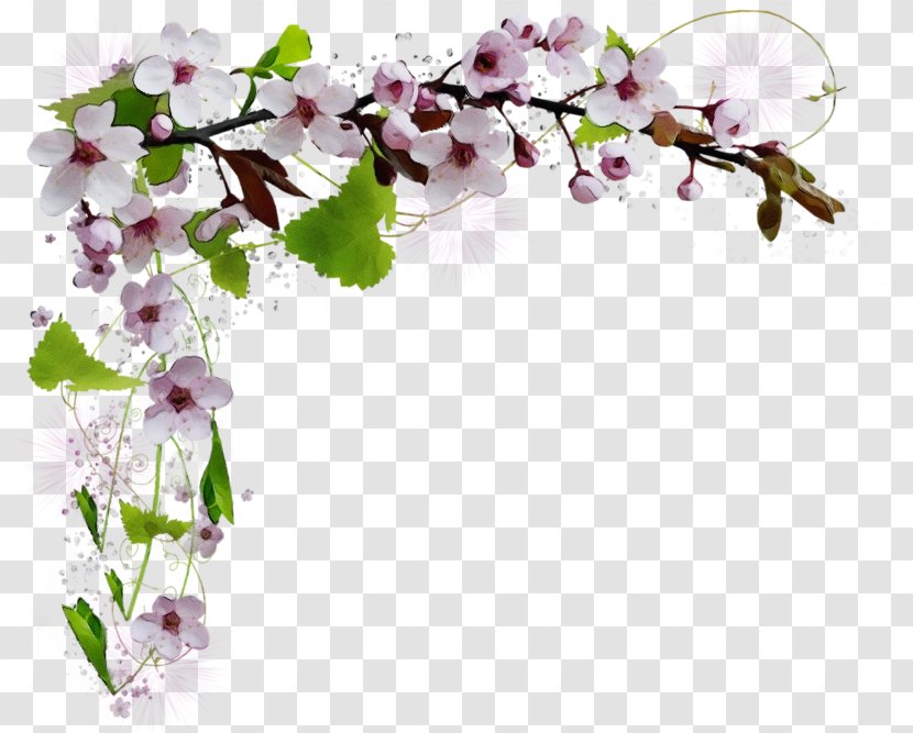 1 May Workers Day - Red Bud Cut Flowers Transparent PNG