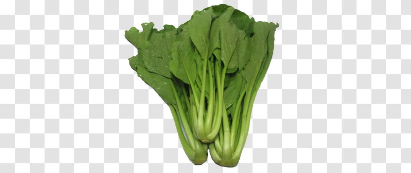 Romaine Lettuce Choy Sum Chinese Broccoli Spring Greens Komatsuna - Vegetable Transparent PNG