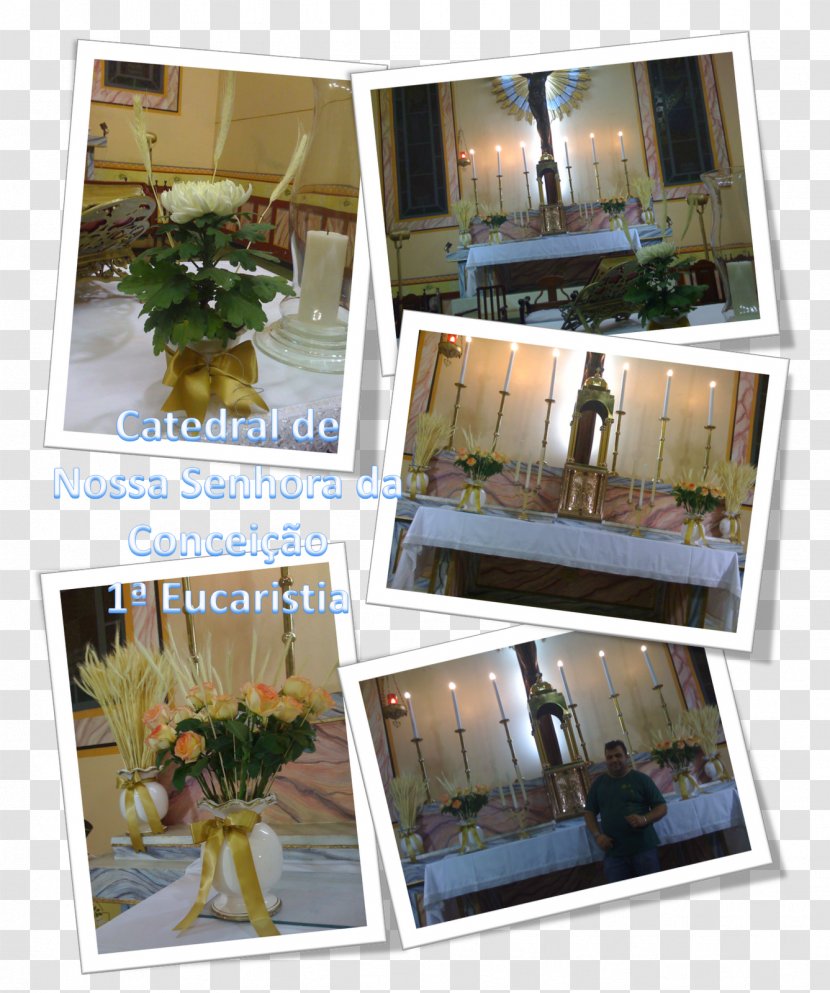 Window Picture Frames Collage Flower Transparent PNG