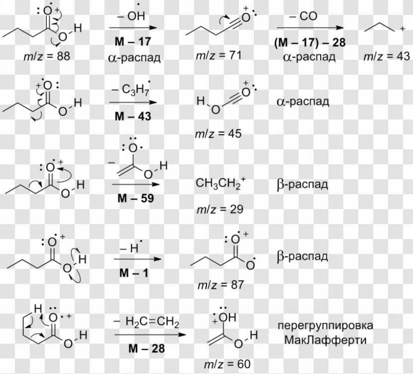 Butyric Acid Carboxylic Adipic Organic Compound - Watercolor - Salt Transparent PNG