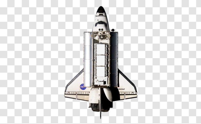 Space Shuttle Challenger Disaster Spacecraft Solid Rocket Booster - Flower Transparent PNG