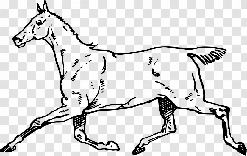 Horse Dog Clip Art Transparent PNG