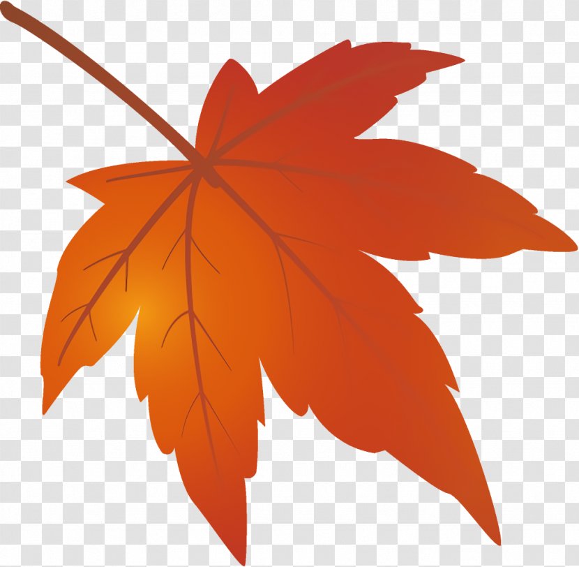 Maple Leaf Autumn Yellow - Sweet Gum - Plant Transparent PNG