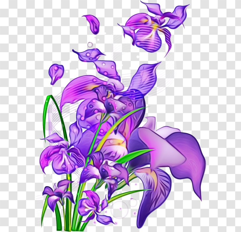 Flower Violet Purple Plant Flowering - Bellflower Family Petal Transparent PNG