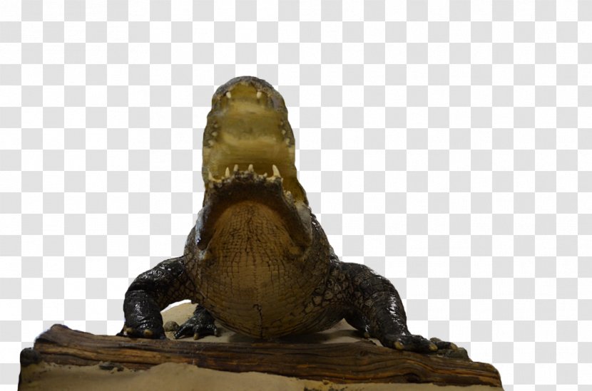 Alligator Reptile Sculpture - Bronze Transparent PNG