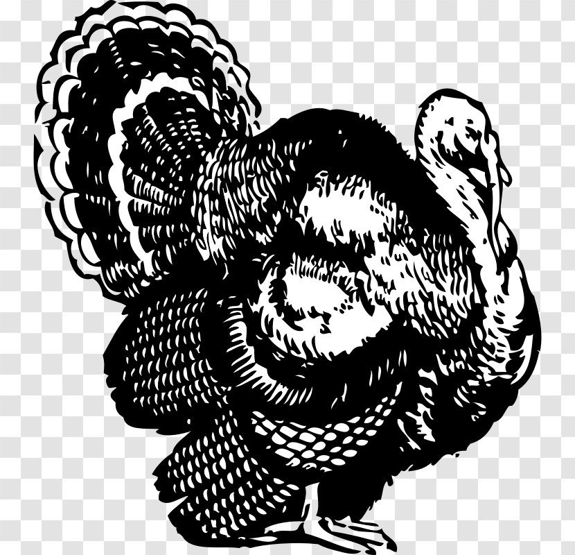 Broad Breasted White Turkey Black And Meat Clip Art - Silhouette - Drawing Pictures Transparent PNG
