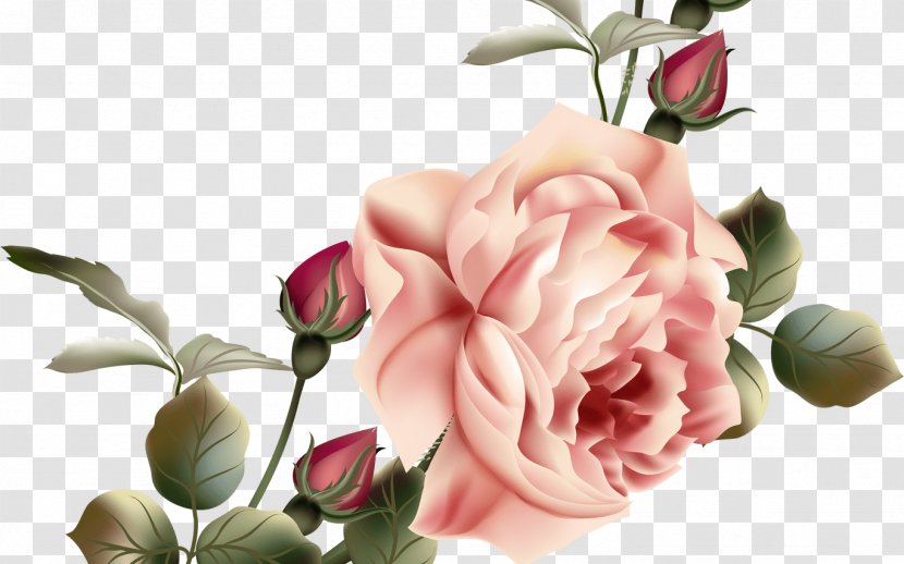 Garden Roses Cabbage Rose Flower Floral Design - Artificial Transparent PNG